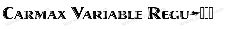 Carmax Variable Regu字体转换